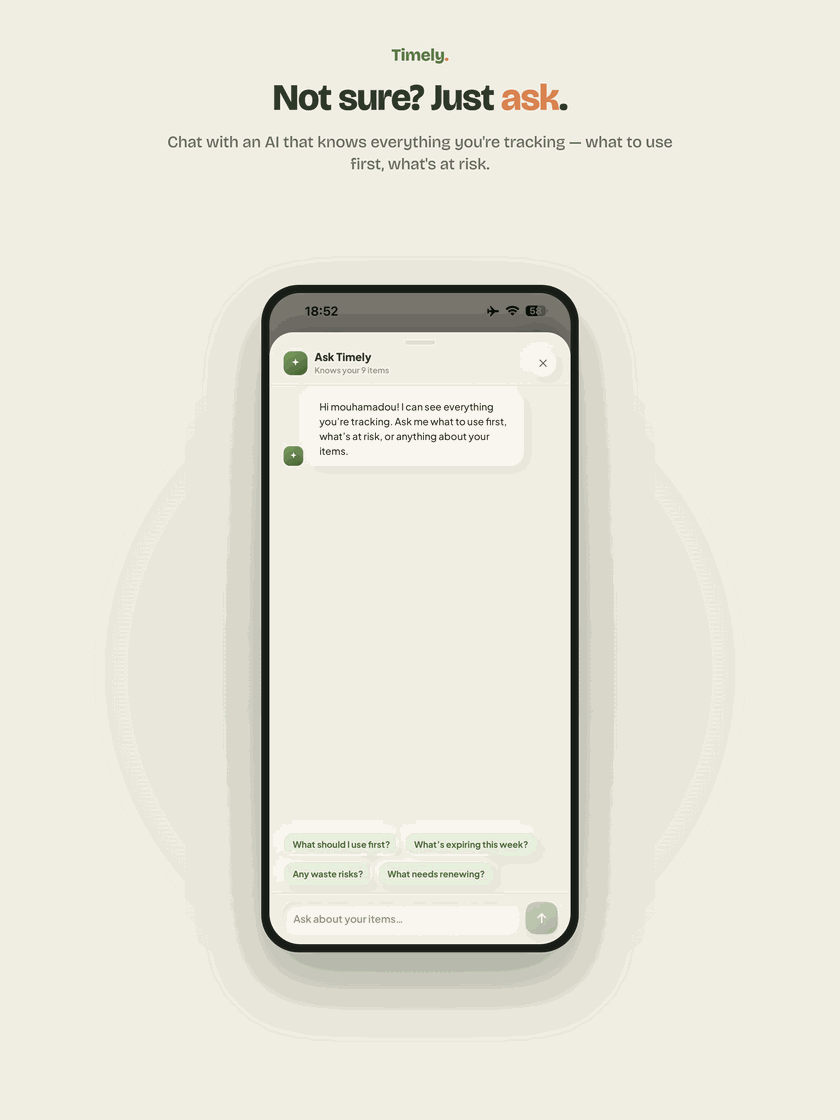 Ask Timely anything